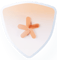 badge-lock-pass