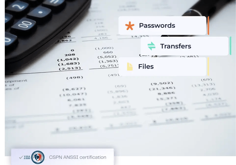 password_manager_for_accountant_lockself_en