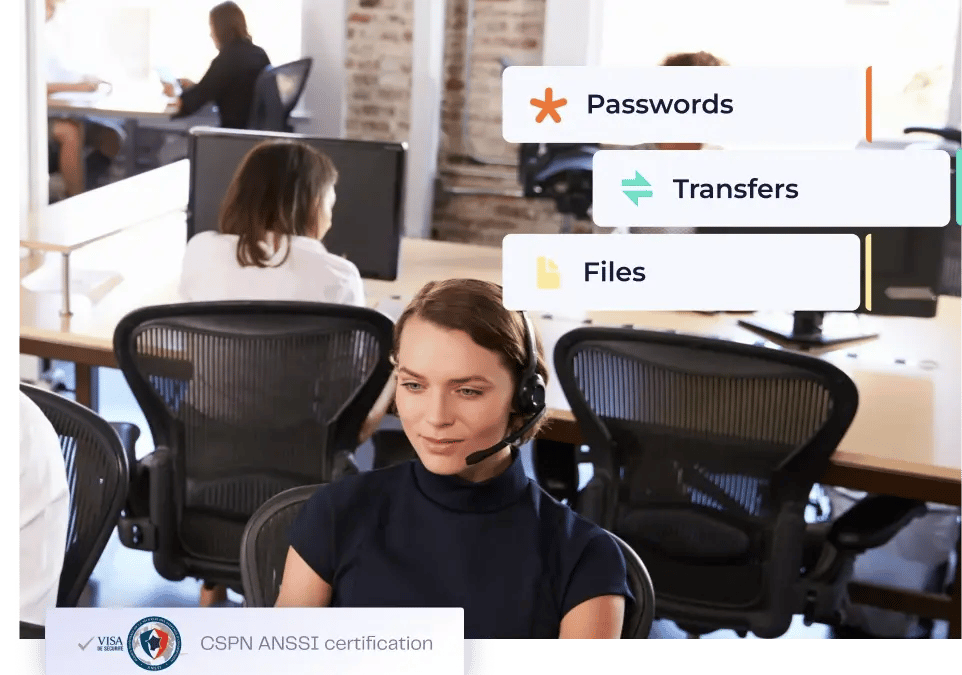 password_manager_for_dsc_consulting_lockself_en