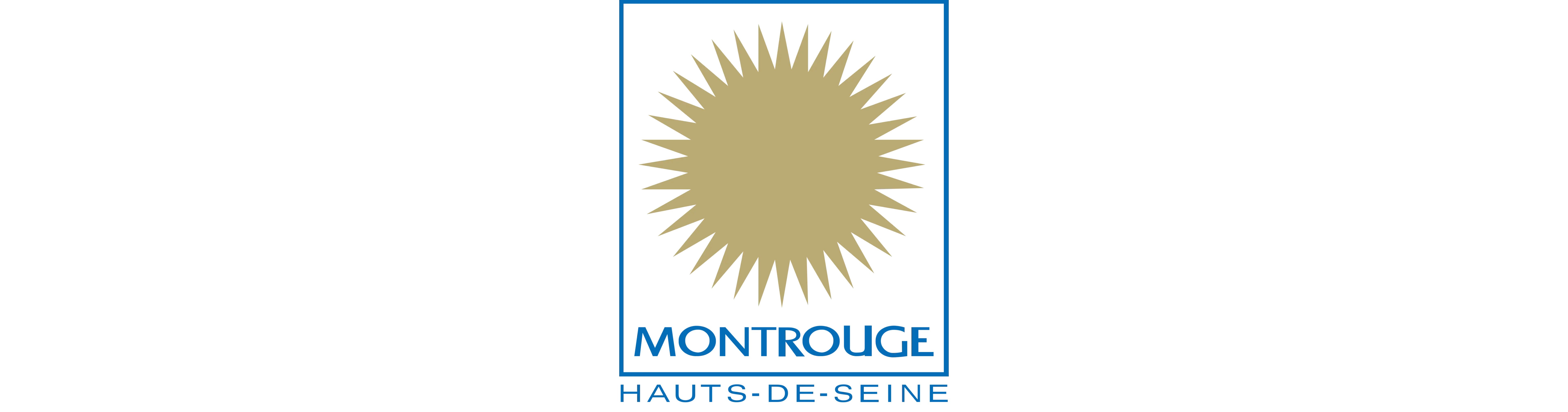 ville_de_montrouge_gestion_mots_de_passe_public